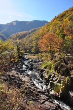 芦川渓谷の紅葉