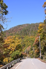 芦川渓谷の紅葉
