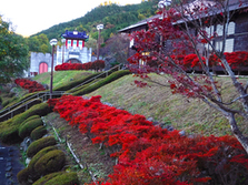 大門碑林公園の紅葉