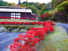 大門碑林公園の紅葉