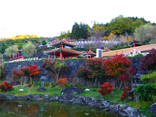 大門碑林公園の紅葉