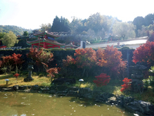 大門碑林公園の紅葉
