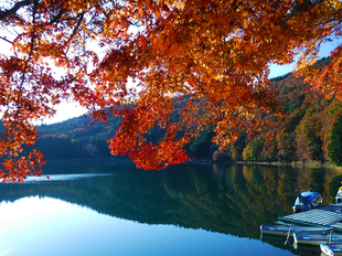 四尾連湖の紅葉