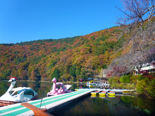 四尾連湖の紅葉