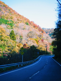 芦川渓谷の紅葉