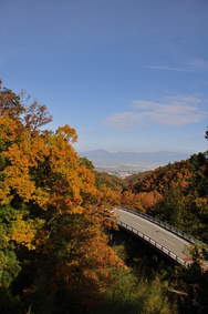 四尾連湖の紅葉