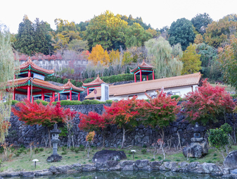 大門碑林公園の紅葉