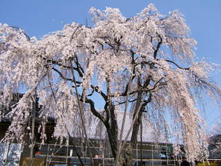 平成20年３月28日撮影