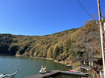 四尾連湖の紅葉