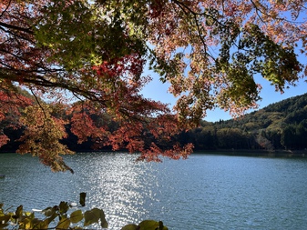 四尾連湖の紅葉