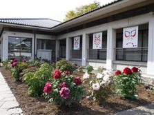 歌舞伎公園­のぼたん