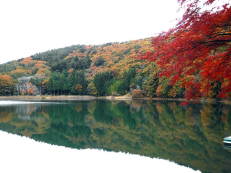 四尾連湖の紅葉