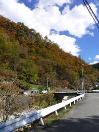 芦川渓谷の紅葉