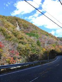 芦川渓谷の紅葉