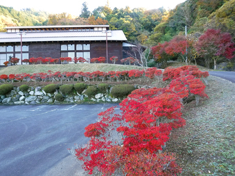 大門碑林公園の紅葉