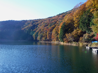 四尾連湖の紅葉