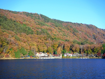 四尾連湖の紅葉