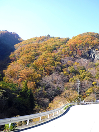 芦川渓谷の紅葉