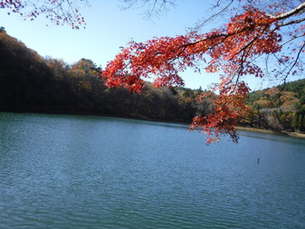 四尾連湖の紅葉