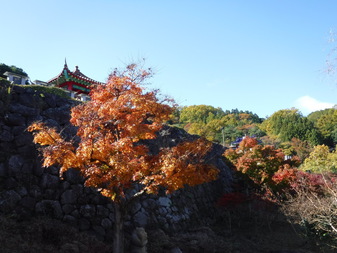 大門碑林公園の紅葉