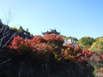大門碑林公園の紅葉