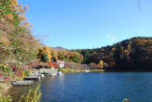 四尾連湖の紅葉