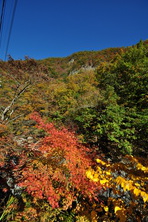 芦川渓谷の紅葉