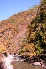 芦川渓谷の紅葉