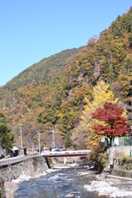 芦川渓谷の紅葉