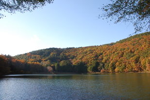 四尾連湖の紅葉