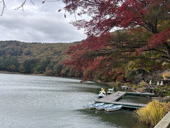 四尾連湖の紅葉