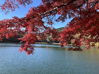 四尾連湖の紅葉