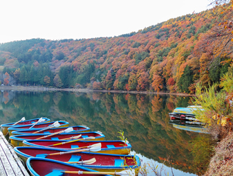 四尾連湖の紅葉