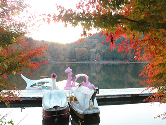 四尾連湖の紅葉