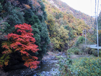 芦川渓谷の紅葉
