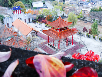 大門碑林公園の紅葉