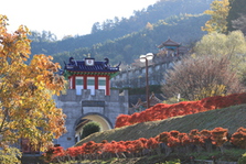 大門碑林公園の紅葉