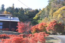 大門碑林公園の紅葉