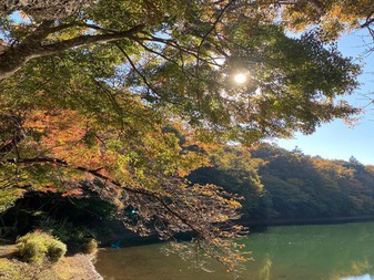 四尾連湖の紅葉