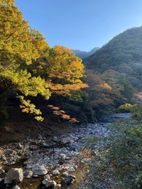 芦川渓谷の紅葉
