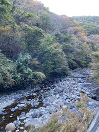 芦川渓谷の紅葉