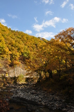 芦川渓谷の紅葉