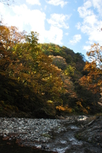 芦川渓谷の紅葉