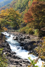 芦川渓谷の紅葉