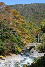 芦川渓谷の紅葉