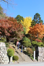 芦川渓谷の紅葉