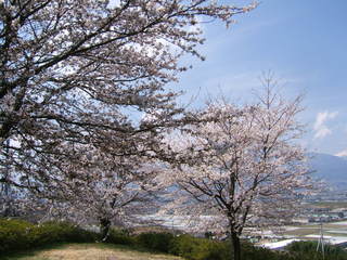 平成20年3月28日撮影