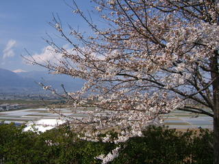 平成20年3月28日撮影