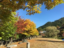 大門碑林公園の紅葉