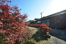 大門碑林公園の紅葉
